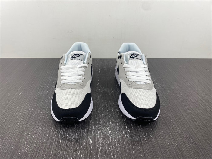 Nike Air Max 1