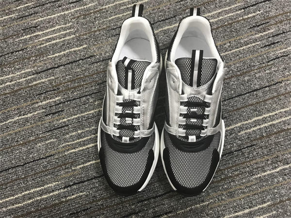 Dior B22