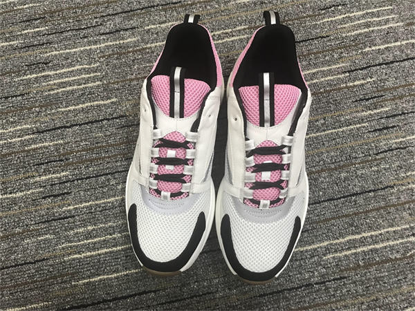 Dior B22