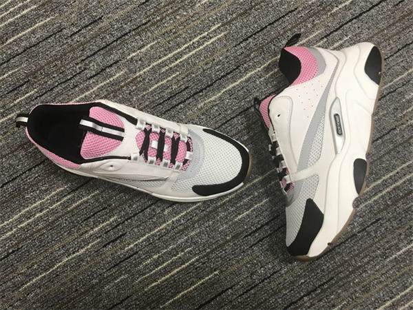 Dior B22