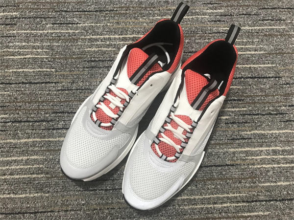 Dior B22