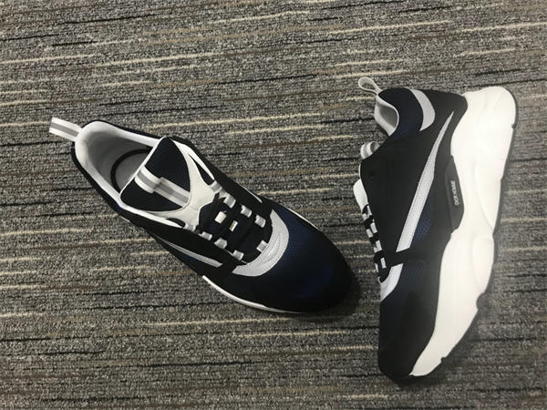 Dior B22