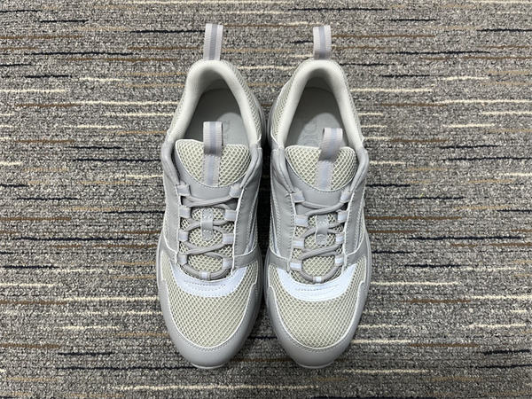 Dior B22