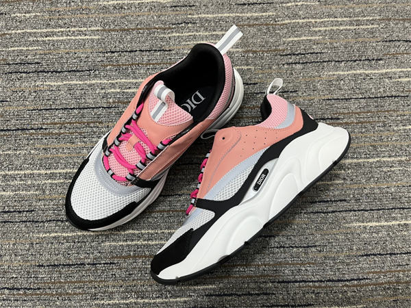 Dior B22