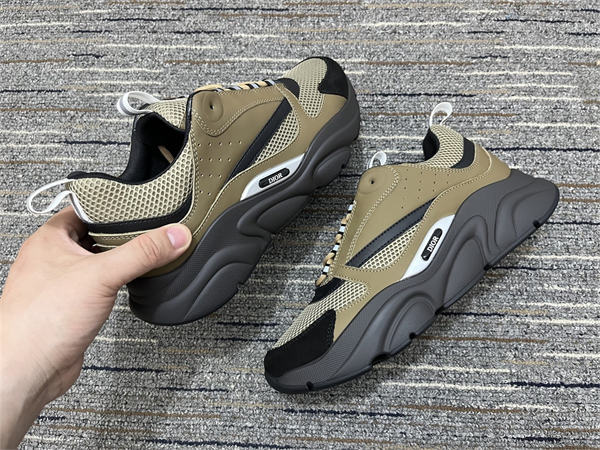 Dior B22