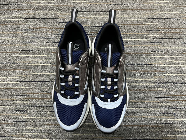 Dior B22