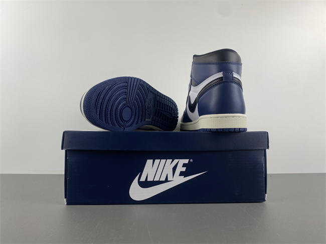 Air Jordan 1 Retro High OG DZ5485-401