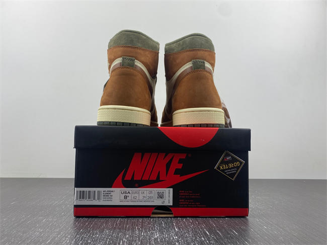 Air Jordan 1 Gore-Tex Jordan 1 High DB2889-100