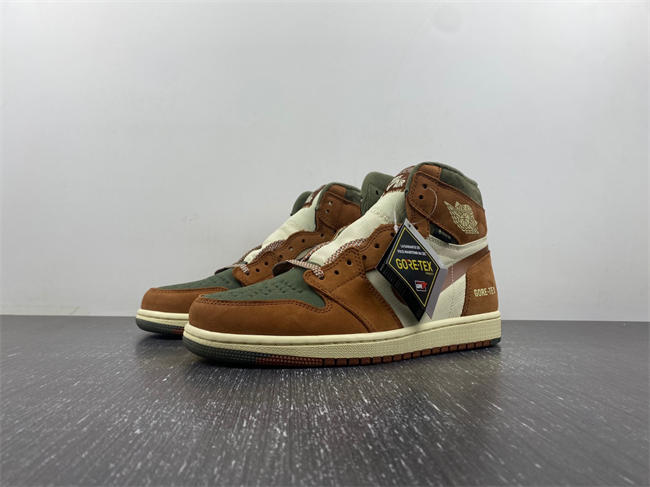 Air Jordan 1 Gore-Tex Jordan 1 High DB2889-100