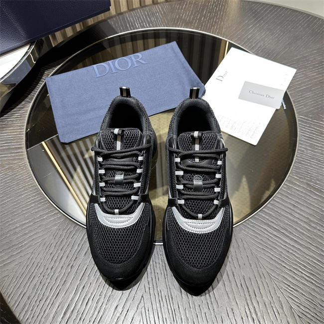 Dior B22