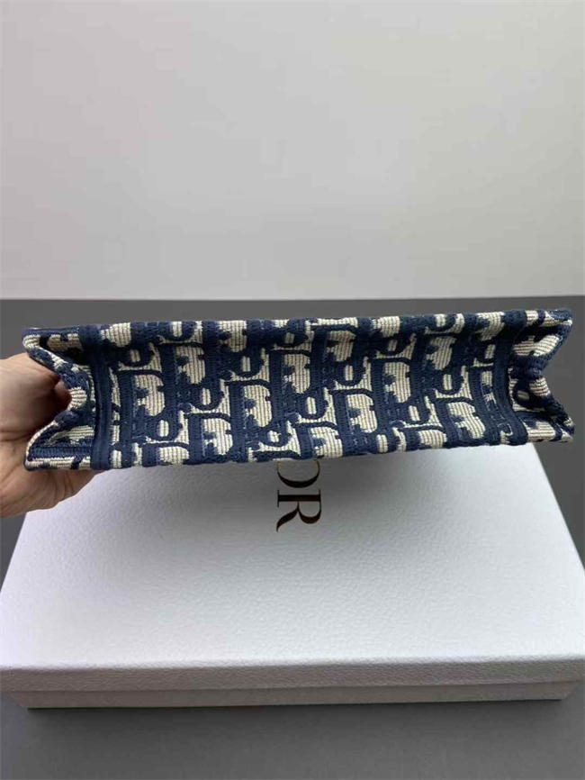 DIOR BAG