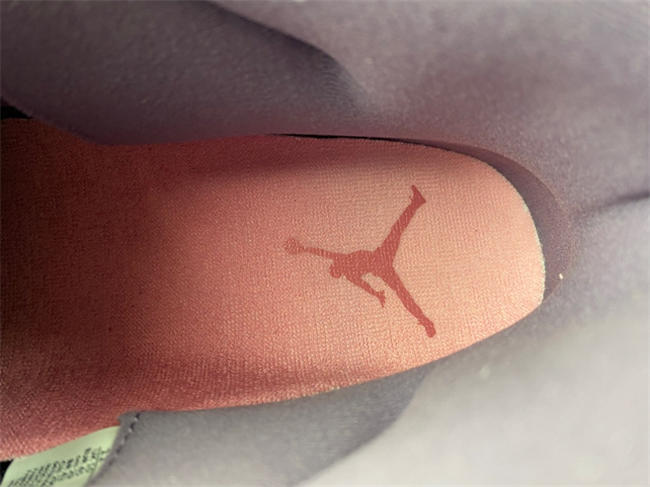 Air Jordan 11 “Las Vegas”